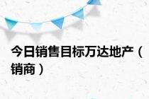 今日销售目标万达地产（销商）