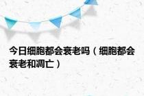 今日细胞都会衰老吗（细胞都会衰老和凋亡）