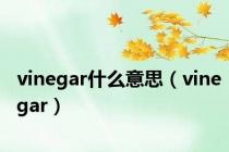 vinegar什么意思（vinegar）