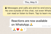 WhatsApp 现在允许您使用任何表情符号作为回应