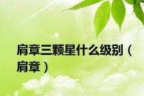 肩章三颗星什么级别（肩章）