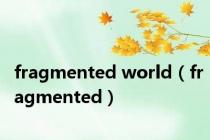 fragmented world（fragmented）