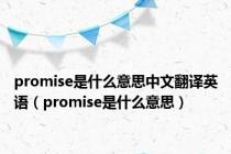 promise是什么意思中文翻译英语（promise是什么意思）