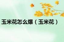 玉米花怎么爆（玉米花）