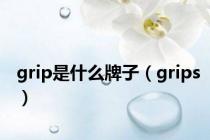 grip是什么牌子（grips）