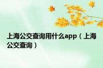 上海公交查询用什么app（上海公交查询）