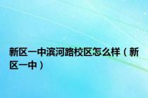 新区一中滨河路校区怎么样（新区一中）