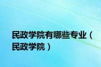 民政学院有哪些专业（民政学院）