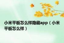 小米平板怎么样隐藏app（小米平板怎么样）