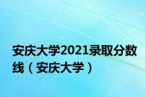 安庆大学2021录取分数线（安庆大学）