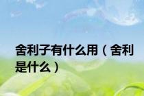 舍利子有什么用（舍利是什么）