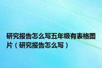 研究报告怎么写五年级有表格图片（研究报告怎么写）