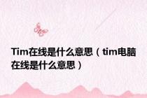 Tim在线是什么意思（tim电脑在线是什么意思）