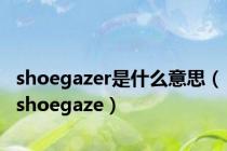 shoegazer是什么意思（shoegaze）