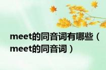 meet的同音词有哪些（meet的同音词）