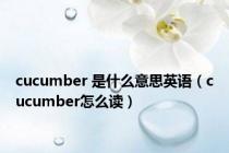 cucumber 是什么意思英语（cucumber怎么读）