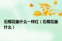 石榴花像什么一样红（石榴花像什么）