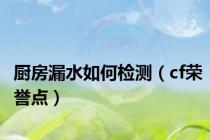 厨房漏水如何检测（cf荣誉点）