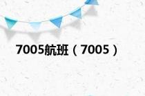 7005航班（7005）