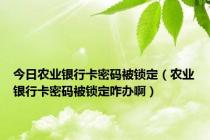 今日农业银行卡密码被锁定（农业银行卡密码被锁定咋办啊）