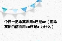 今日一把伞英语用a还是an（雨伞英语的前面用an还是a 为什么）