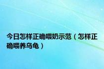 今日怎样正确喂奶示范（怎样正确喂养乌龟）