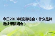 今日2013韩流演唱会（什么是韩流梦想演唱会）