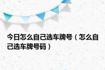 今日怎么自己选车牌号（怎么自己选车牌号码）