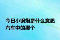 今日小钢炮是什么意思 汽车中的那个