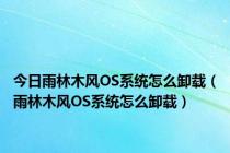 今日雨林木风OS系统怎么卸载（雨林木风OS系统怎么卸载）