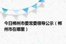 今日郴州市委常委领导公示（郴州市在哪里）