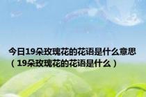 今日19朵玫瑰花的花语是什么意思（19朵玫瑰花的花语是什么）