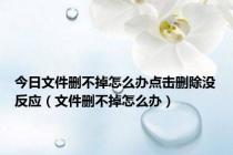 今日文件删不掉怎么办点击删除没反应（文件删不掉怎么办）