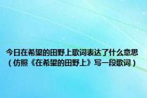 今日在希望的田野上歌词表达了什么意思（仿照《在希望的田野上》写一段歌词）