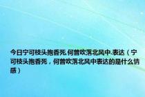 今日宁可枝头抱香死,何曾吹落北风中.表达（宁可枝头抱香死，何曾吹落北风中表达的是什么情感）