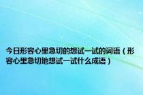 今日形容心里急切的想试一试的词语（形容心里急切地想试一试什么成语）