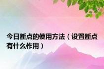 今日断点的使用方法（设置断点有什么作用）