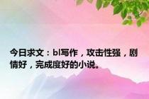 今日求文：bl写作，攻击性强，剧情好，完成度好的小说。