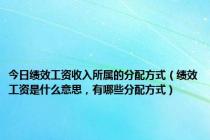 今日绩效工资收入所属的分配方式（绩效工资是什么意思，有哪些分配方式）