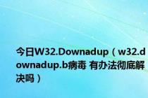 今日W32.Downadup（w32.downadup.b病毒 有办法彻底解决吗）