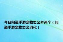 今日问道手游宠物怎么弄两个（问道手游宠物怎么羽化）