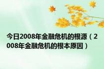 今日2008年金融危机的根源（2008年金融危机的根本原因）