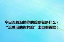 今日流着泪的你的脸歌名是什么（“流着泪的你的脸”出自哪首歌）