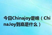 今日Chinajoy是啥（ChinaJoy到底是什么）