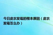 今日皮衣发霉的根本原因（皮衣发霉怎么办）