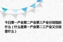 今日第一产业第二产业第三产业分别指的什么（什么是第一产业第二三产业又分别是什么）