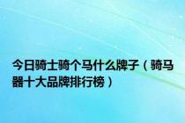 今日骑士骑个马什么牌子（骑马器十大品牌排行榜）