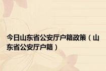 今日山东省公安厅户籍政策（山东省公安厅户籍）