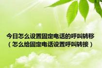 今日怎么设置固定电话的呼叫转移（怎么给固定电话设置呼叫转接）