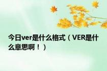 今日ver是什么格式（VER是什么意思啊！）